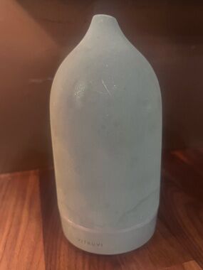 Vitruvi diffuser in deep green